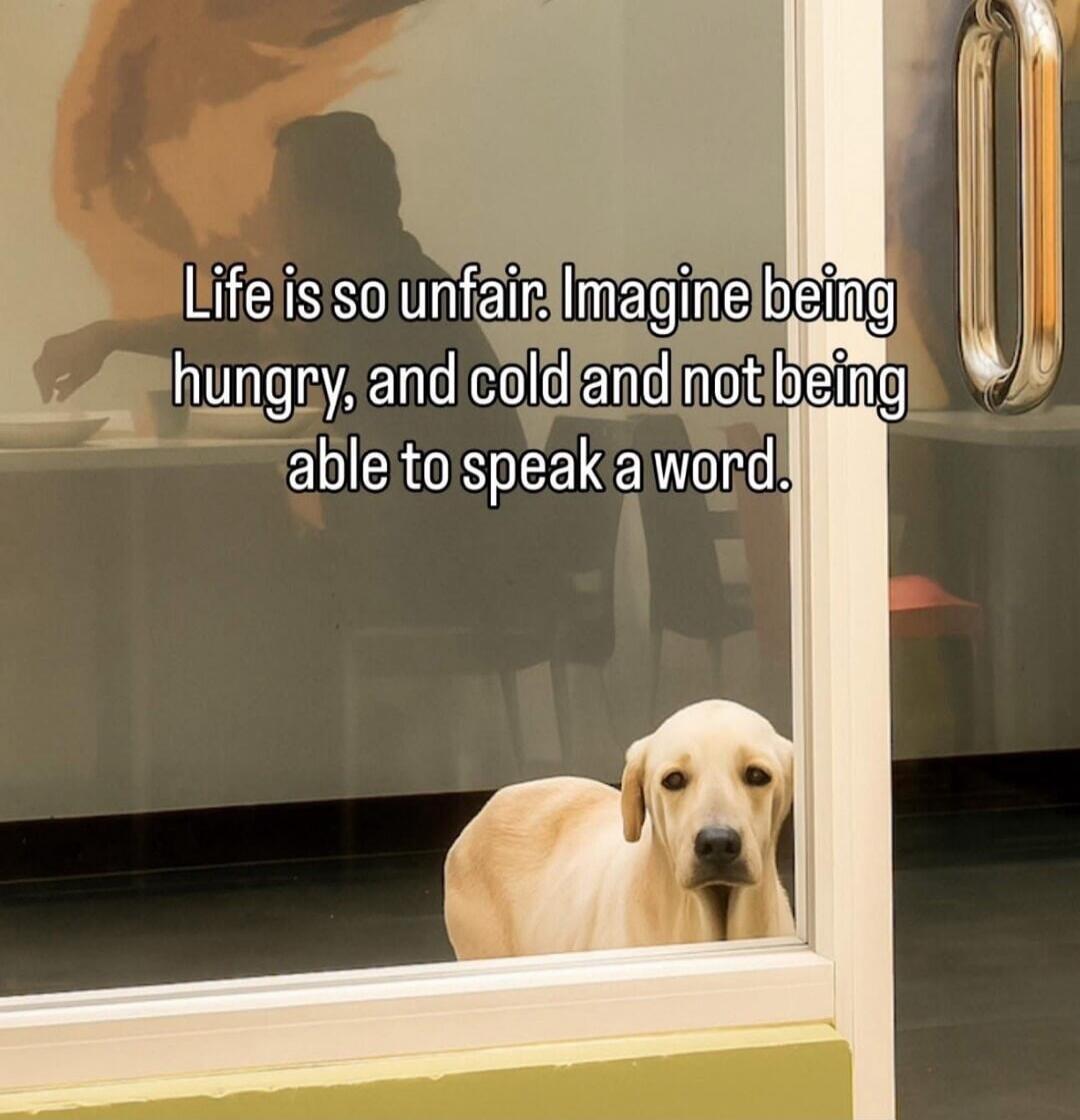 Life is so unfair. Imagine being hungry, and cold and not being able to speak a word.