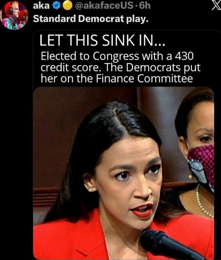 LET THIS SINK IN... Elected to Congress with a 430 credit score. The Democrats put her on the Finance Committee