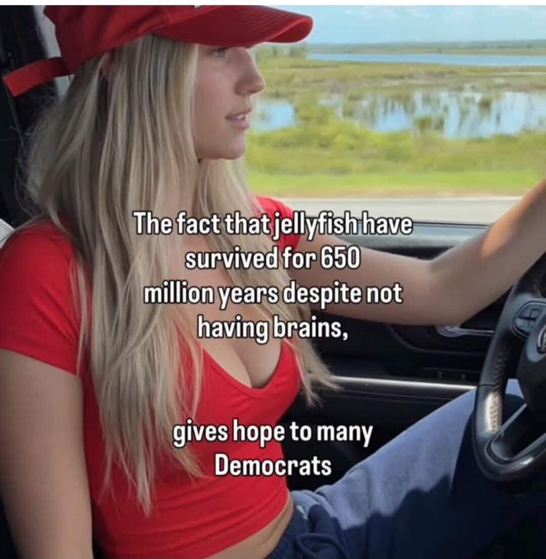 The fact that jellyfish have survived for 650 million years despite not having brains, gives hope to many Democrats