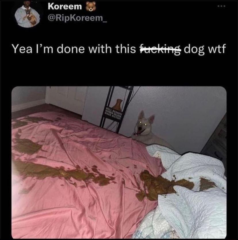 L CTEET a RipKoreem_ ACENRNECCHERTIGRGIER S0 Ny e eF 2w