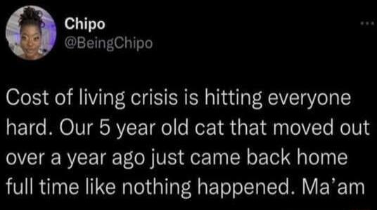 Chipo BeingChipo Cost of living crisis is hitting everyone hard Our 5 year old cat that moved out over a year ago just came back home full time like nothing happened Maam