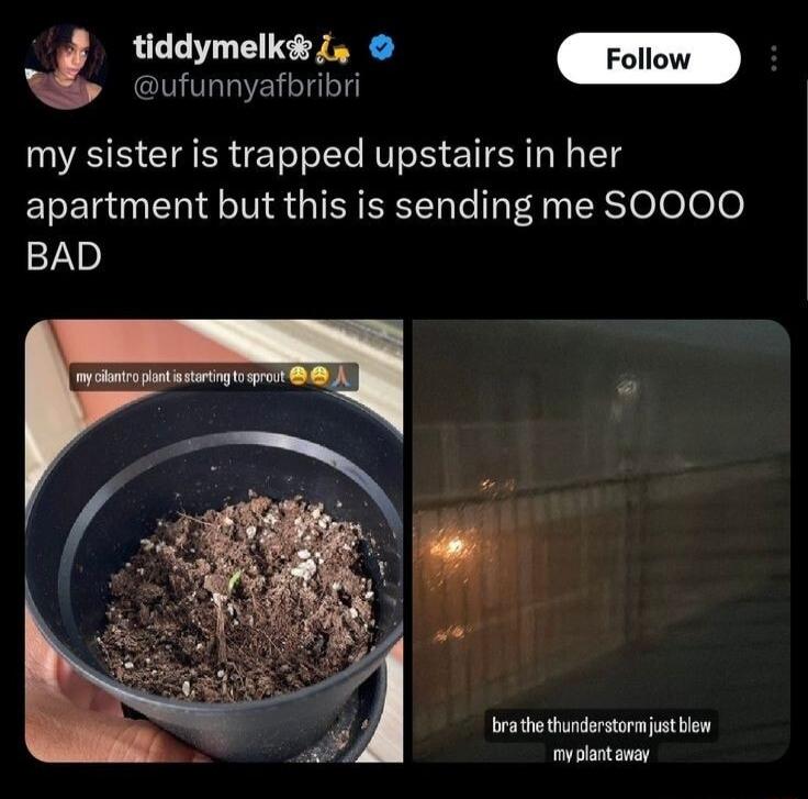 tiddymelk i S L my sister is trapped upstairs in her ELETER ISR GIEEEEN Ay R eelee BAD myolantanay