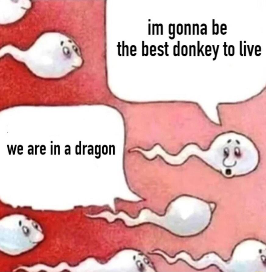 im gonna be the best donkey to live