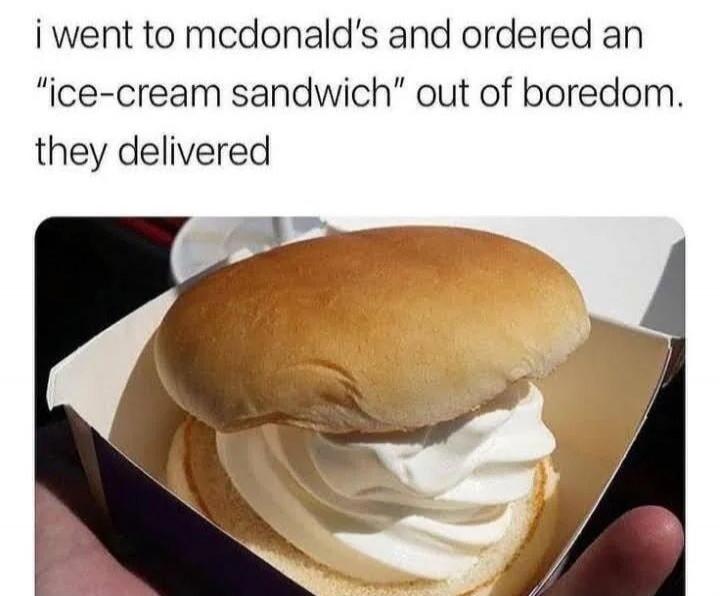 i went to mcdonald's and ordered an 