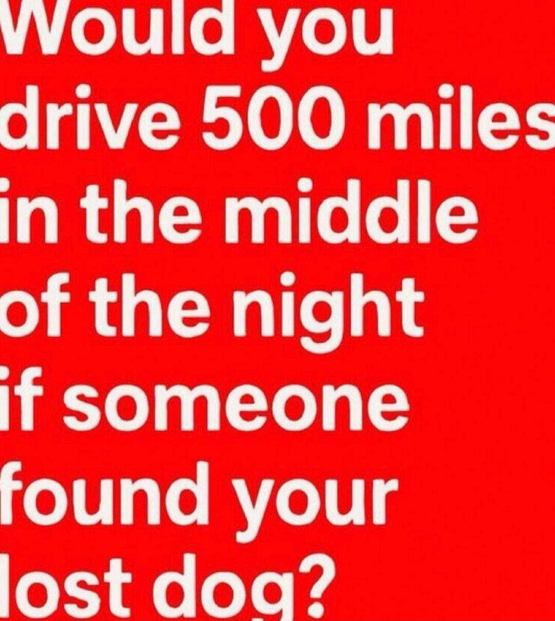 Would you drive 500 miles in the middle of the night if someone found your lost dog?