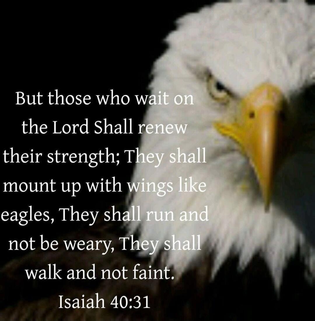 But those who wait on the Lord Shall renew their strength; They shall mount up with wings like eagles, They shall run and not be weary, They shall walk and not faint. Isaiah 40:31