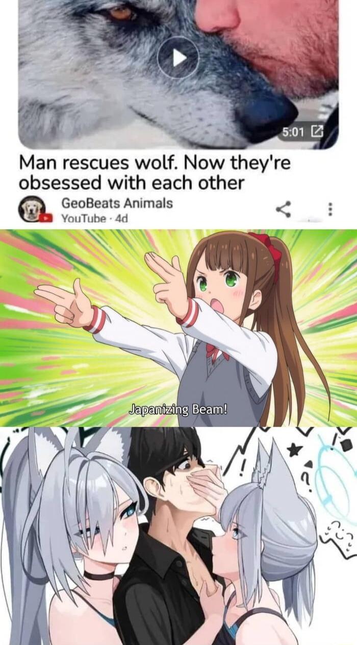 Man rescues wolf Now theyre obsessed with each other GeoBeats Animals 8 YouTube 4d