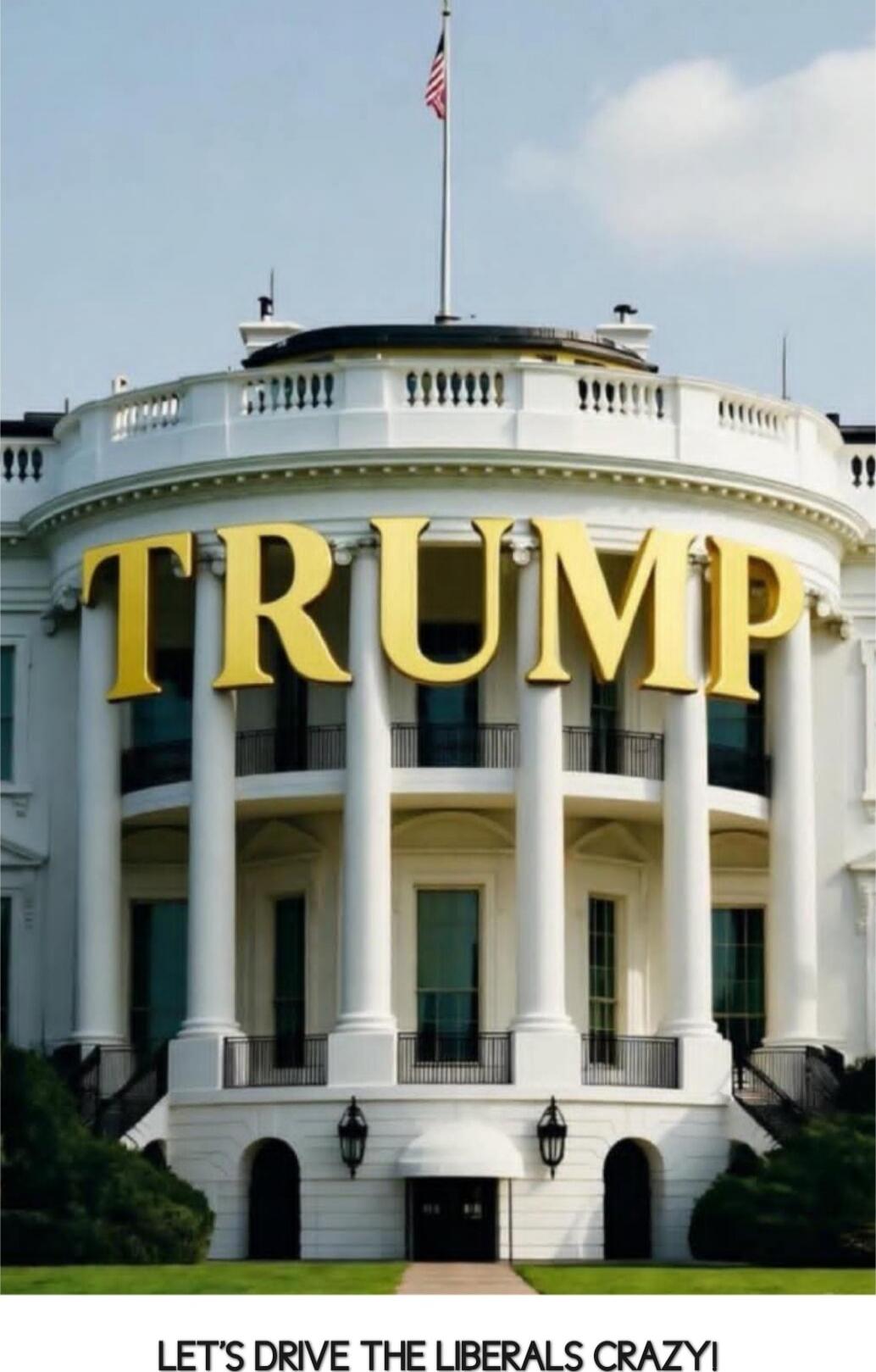 TRUMP
LET'S DRIVE THE LIBERALS CRAZY!