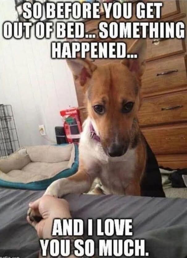 SO BEFORE YOU GET OUT OF BED... SOMETHING HAPPENED...

AND I LOVE YOU SO MUCH.