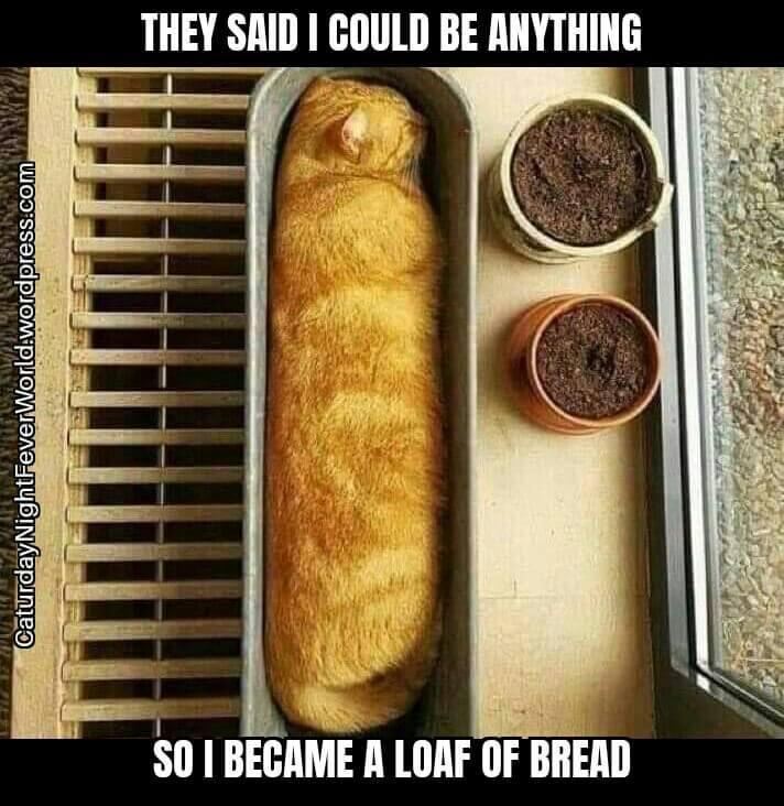 THEY SAID COULD BE ANYTHING