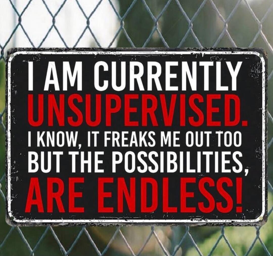 I AM CURRENTLY UNSUPERVISED. I KNOW, IT FREAKS ME OUT TOO BUT THE POSSIBILITIES, ARE ENDLESS!