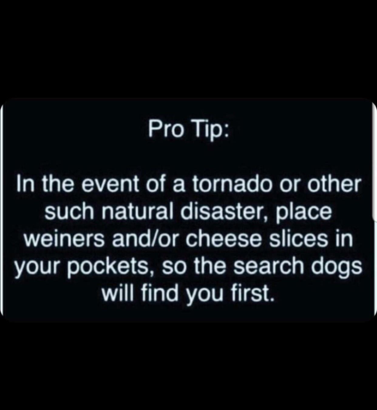 Pro Tip In the event of a tornado or other such natural disaster place weiners andor cheese slices in your pockets so the search dogs W1 RTale RYeIVR518