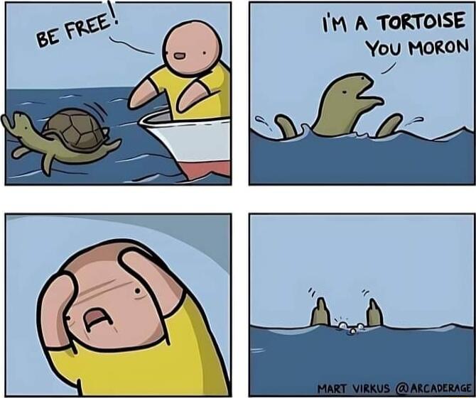 M A TORTOISE You MoroN 7