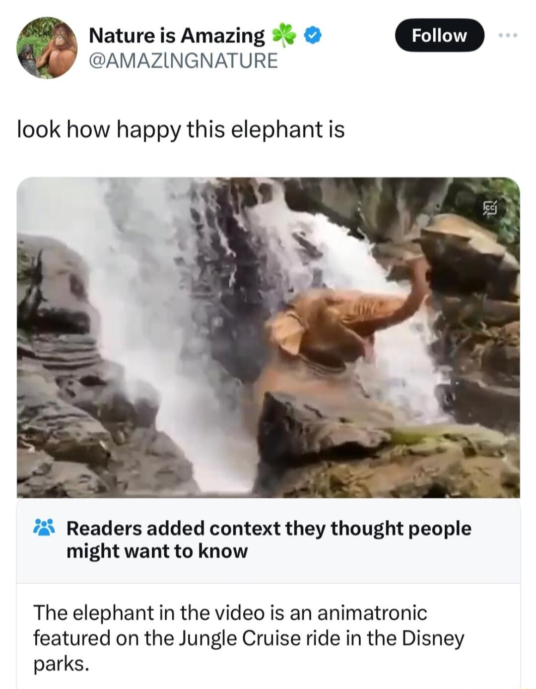 Nature is Amazing AMAZINGNATURE look how happy this elephant is 7 Readers added context they thought people might want to know The elephant in the video is an animatronic featured on the Jungle Cruise ride in the Disney parks