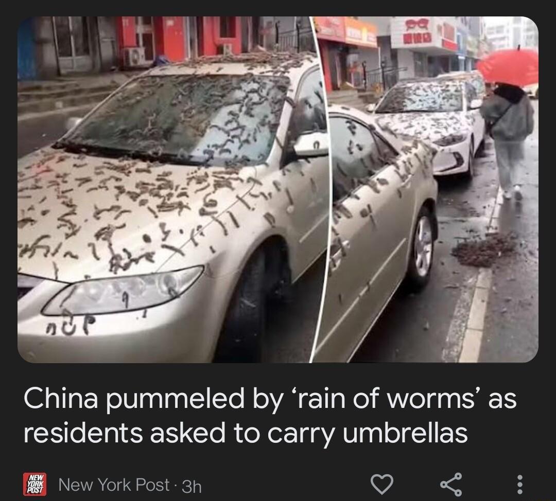 China pummeled by rain of worms as residents asked to carry umbrellas o B New York Pos