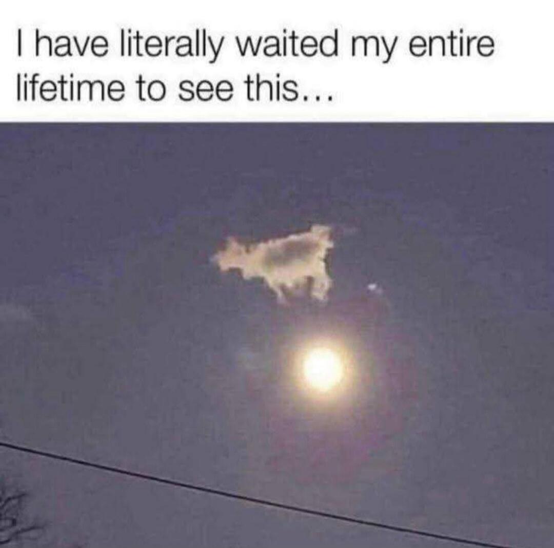 I have literally waited my entire lifetime to see this...