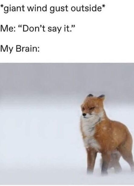 i marlynnofmany Follow giant wind gust outside Me Dont say it My Brain 19955 notes