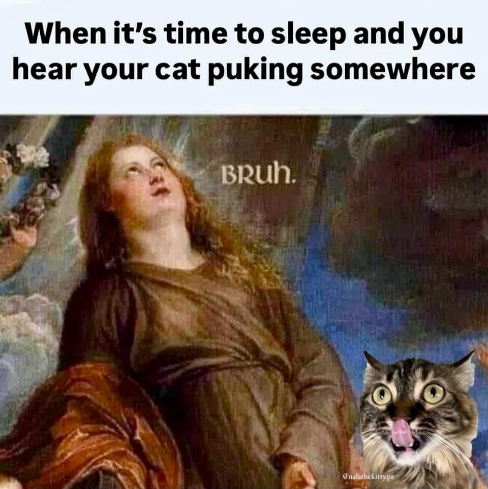 When its time to sleep and you hear your cat puking somewhere R BRUh Foff