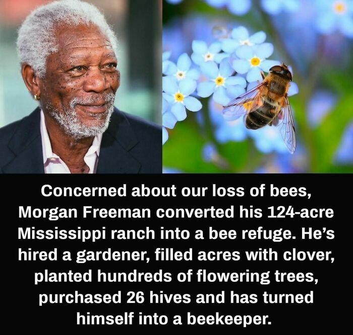 Concerned about our loss of bees Morgan Freeman converted his 124 acre Mississippi ranch into a bee refuge Hes ITGCT 2 100 Y T Yo I T CERNY WA VT planted hundreds of flowering trees purchased 26 hives and has turned himself into a beekeeper mind blowingfactscom