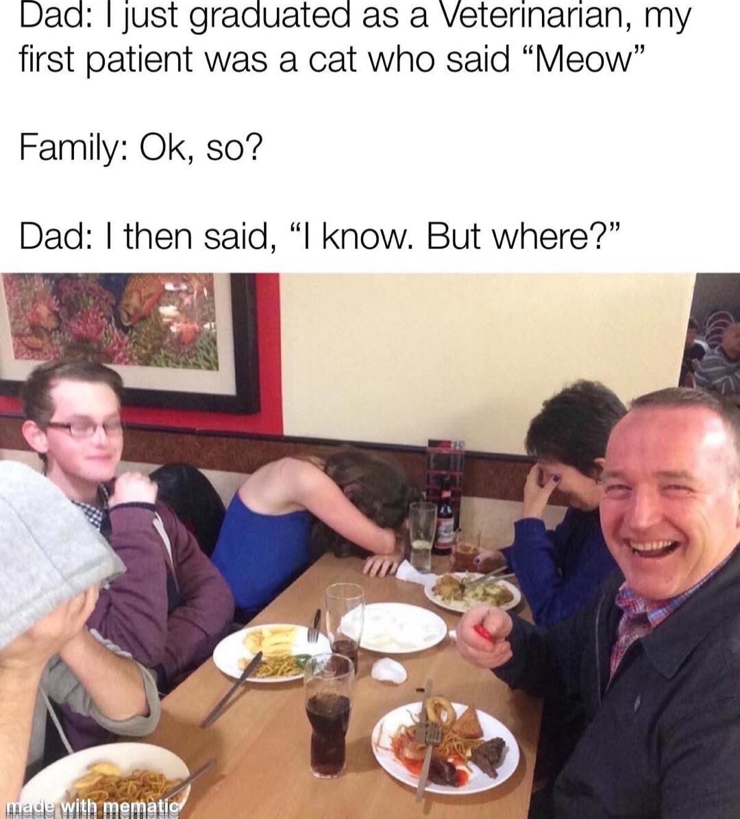 Daaq just graduated as a Veterinarian my first patient was a cat who said Meow Family Ok so Dad then said I know But where