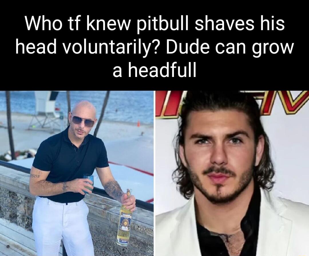 Who tf knew pitbull shaves his CET R Vg e 1g1 2 IVl NeET Mo o1 EREEL T