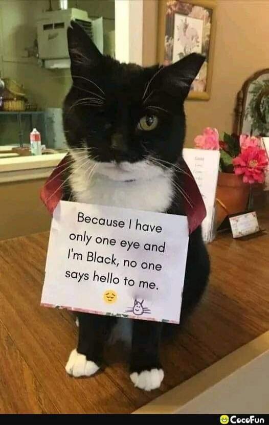 Because I have only one eye and I'm Black, no one says hello to me.