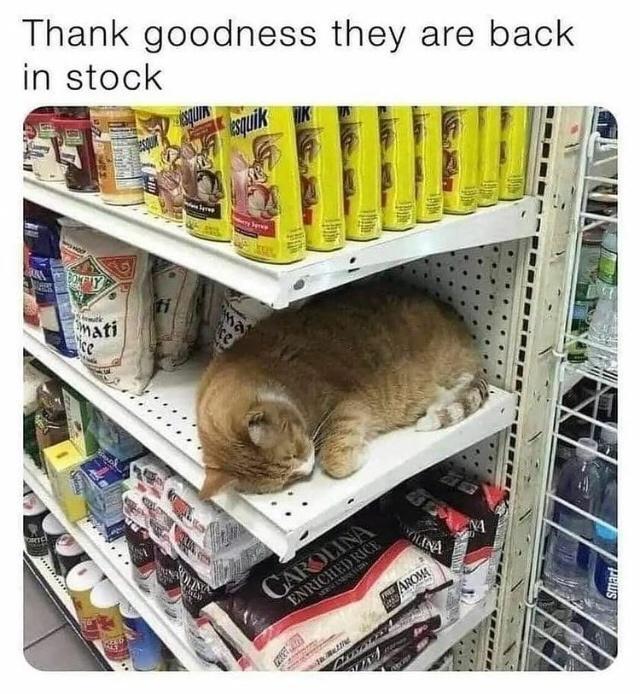 Thank goodness they are back 1L in stock