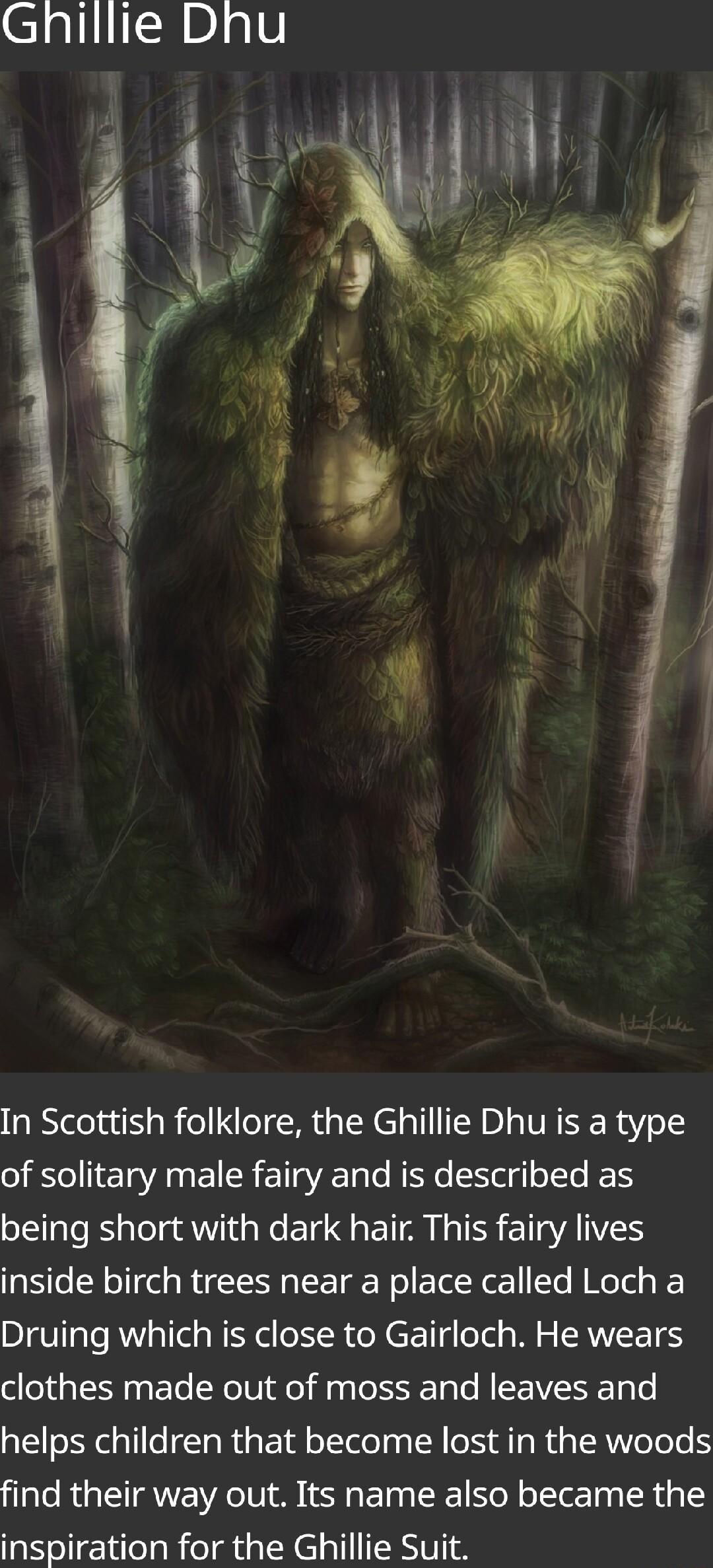 Ghillie Dhu In Scottish folklore the Ghillie Dhu is a type of solitary male fairy and is described as being short with dark hair This fairy lives inside birch trees near a place called Loch a Druing which is close to Gairloch He wears clothes made out of moss and leaves and helps children that become lost in the woods find their way out Its name also became the inspiration for the Ghillie Suit