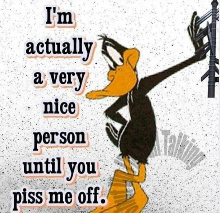 I'm actually a very nice person until you piss me off.