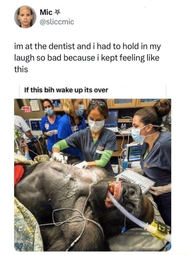 Mic 3 sliccmic im at the dentist and i had to hold in my laugh so bad because i kept feeling like this If this bih wake up its over