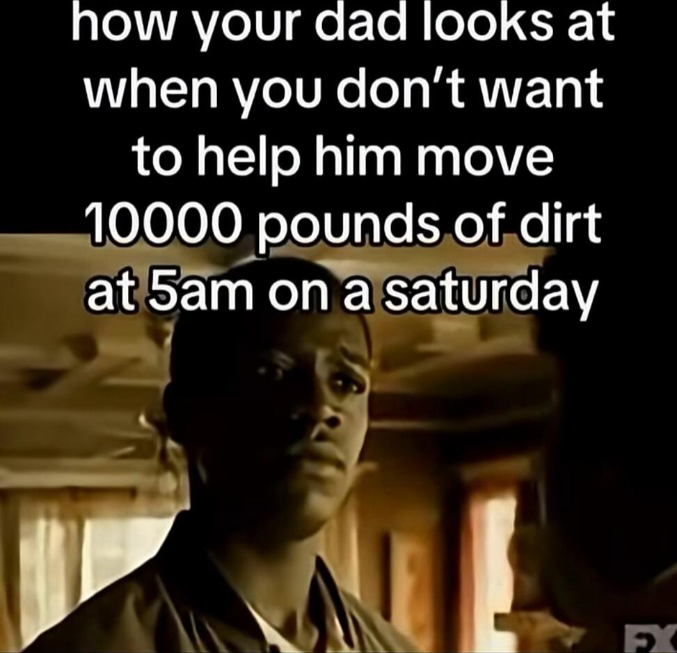 how your dad looks at when you don’t want to help him move 10000 pounds of dirt at 5am on a saturday