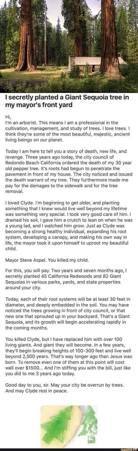 I secretly planted a Giant Sequoia tree in my mayors front yard Hi Im an arborist This means am a professional in the cultivation management and study of trees love trees think theyre some of the most beautiful majestic ancient living beings on our planet Today am here to tell you a story of death new life and revenge Three years ago today the city council of Redondo Beach California ordered the d