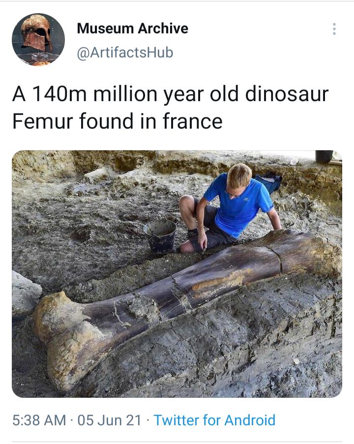 Museum Archive ArtifactsHub A 140m million year old dinosaur Femur found in france 538 AM 05 Jun 21 Twitter for Android