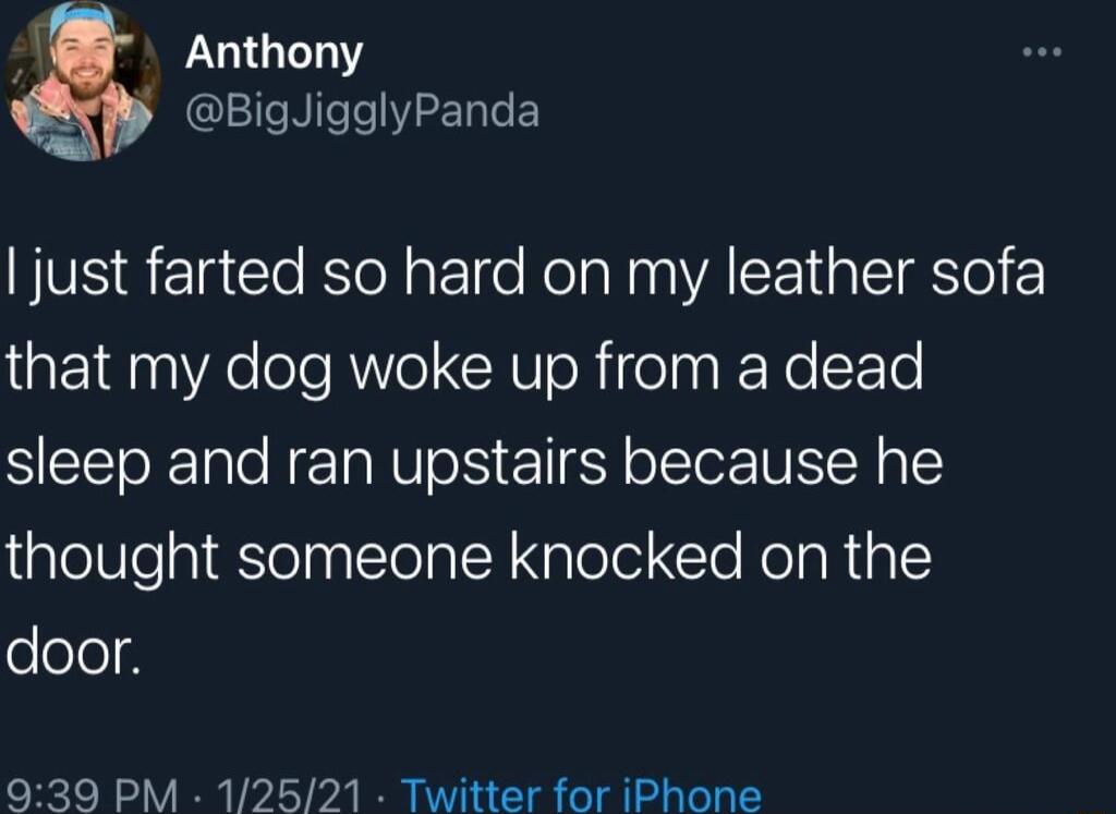 i Anthony BigJigglyPanda just farted so hard on my leather sofa that my dog woke up from a dead sleep and ran upstairs because he ipelle gl lelpalTela IR Nplolel Te RelaRal eeleld 939 PM 12521 Twitter for iPhone