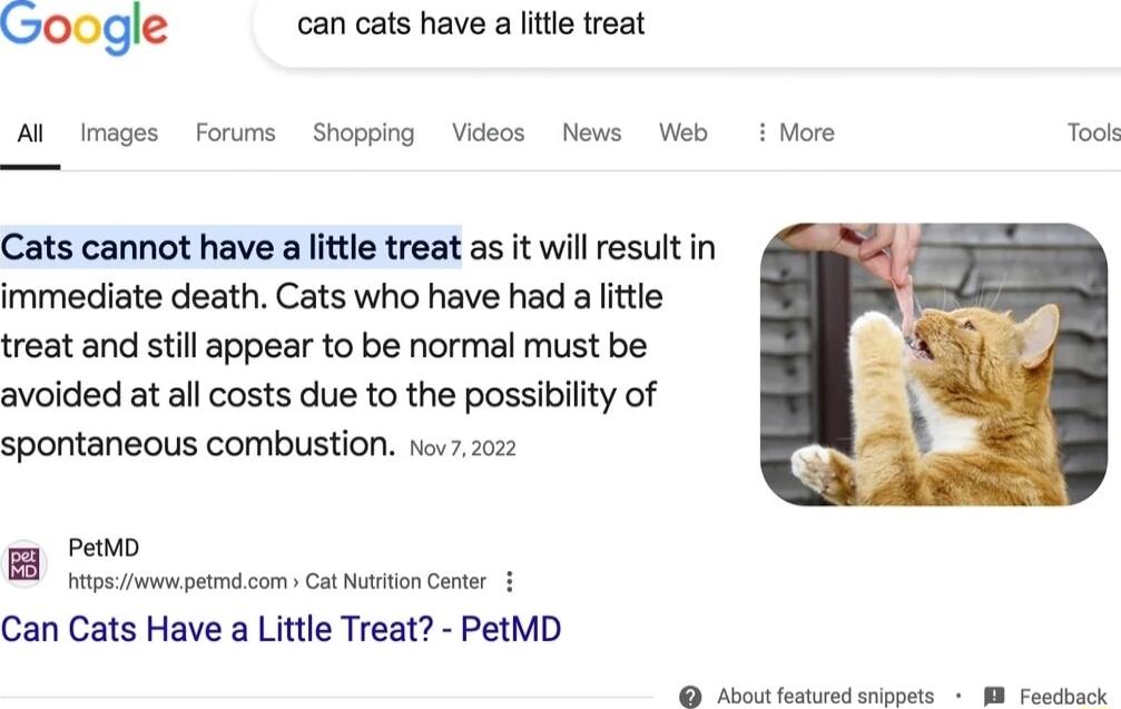 gle can cats have a little treat Al imeges Foums Shopoing Videos News Web i More Too Cats cannot have a lttle treat as it wil result in immediate death Cats who have had aittle treat and still appear to be normal must be avoided at al costs due to the possibilty of spontaneous combustion o7z patio B oo catstoncorr Can Cats Have a Little Treat PetMD O o