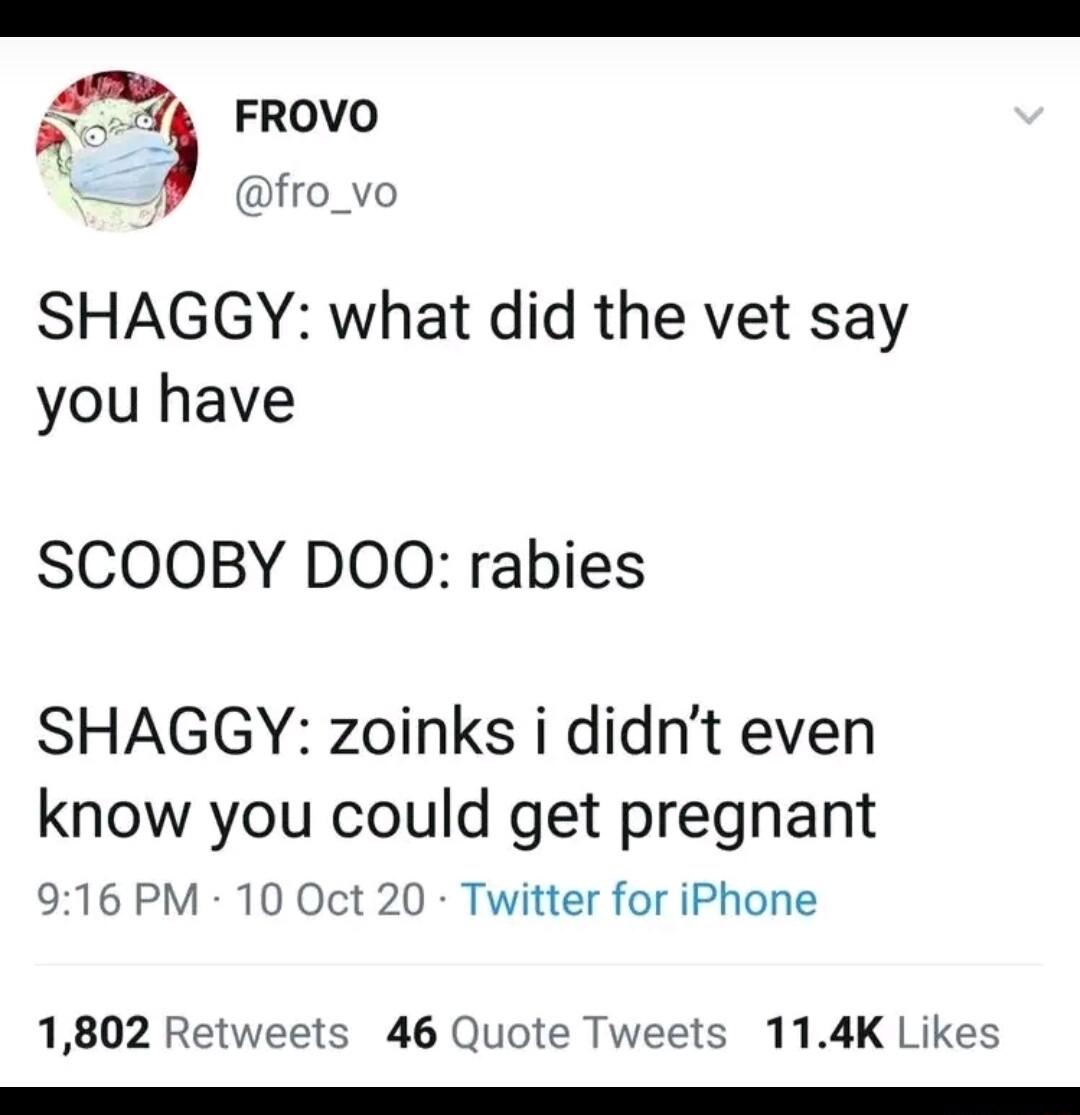 R r FROVO fro_vo SHAGGY what did the vet say you have SCOOBY DOO rabies SHAGGY zoinks i didnt even know you could get pregnant 916 PM 10 Oct 20 Twitter for iPhone 1802 Retweets 46 Quote Tweets 114K Likes e