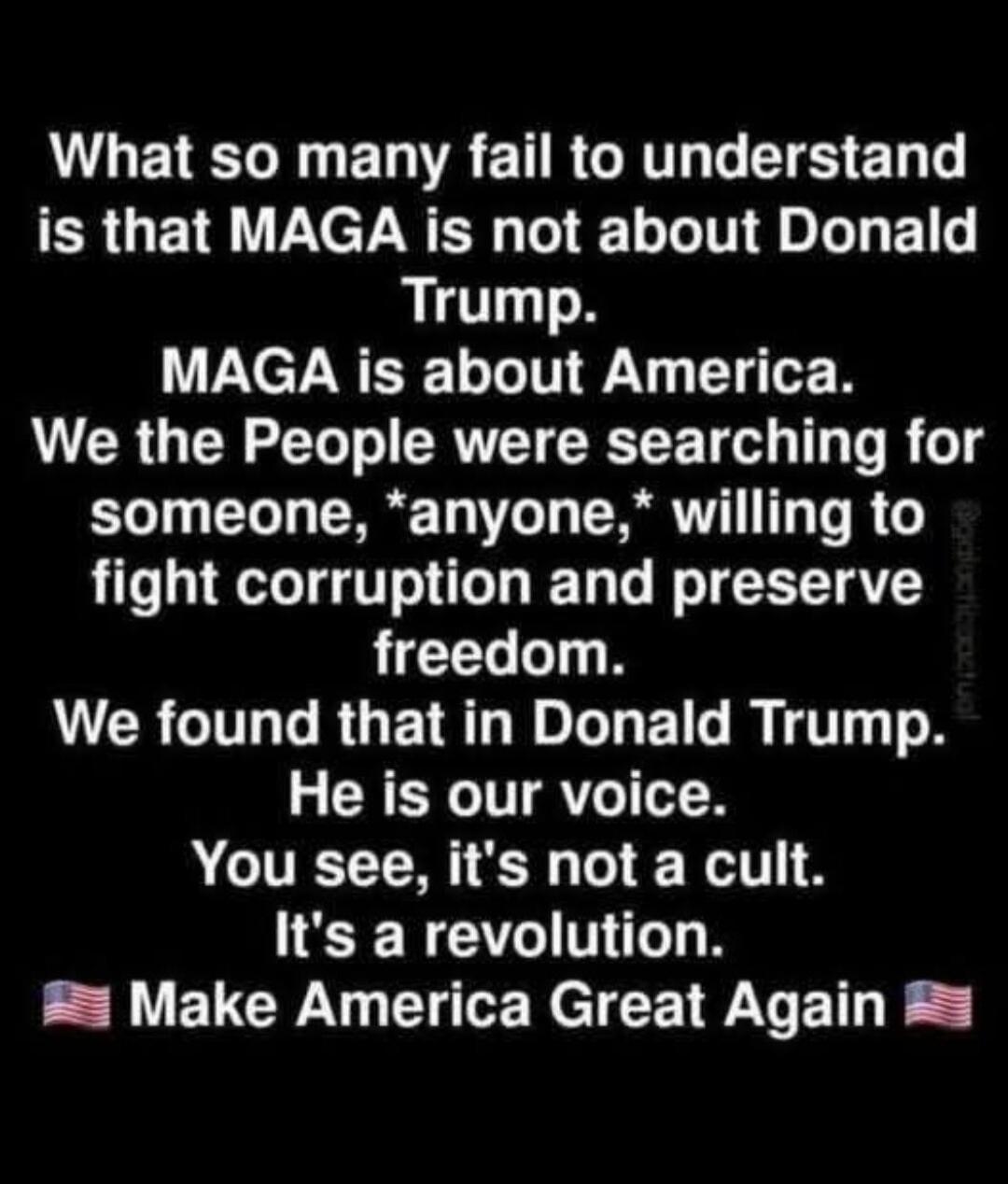 What so many fail to understand is that MAGA is not about Donald Trump. MAGA is about America. We the People were searching for someone, *anyone,* willing to fight corruption and preserve freedom. We found that in Donald Trump. He is our voice. You see, it's not a cult. It's a revolution. Make America Great Again