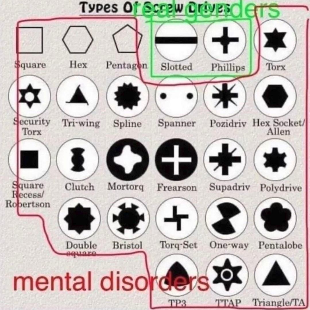 Curity Triwing Spline Spanner Pozidriv Hex Socket Tor Allen OG Clutch Mortorq Frearson Supadriv Polydri I8 o Double Bristol TorgSet One way Pentalobe BE A Ro mental diso