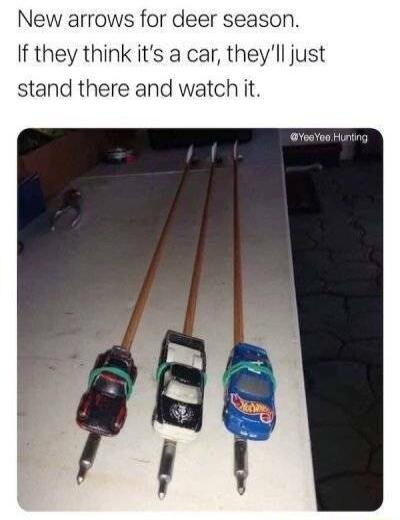 New arrows for deer season If they think its a car theyll just stand there and watch it