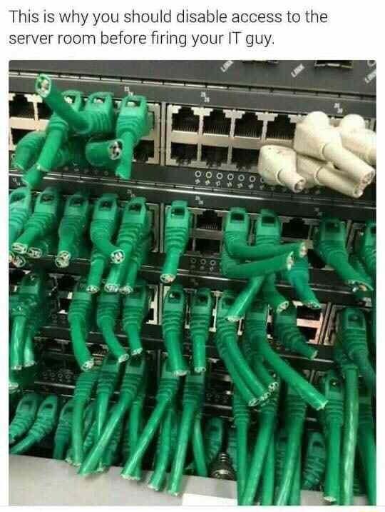 This is why you should disable access to the r room before firing your IT