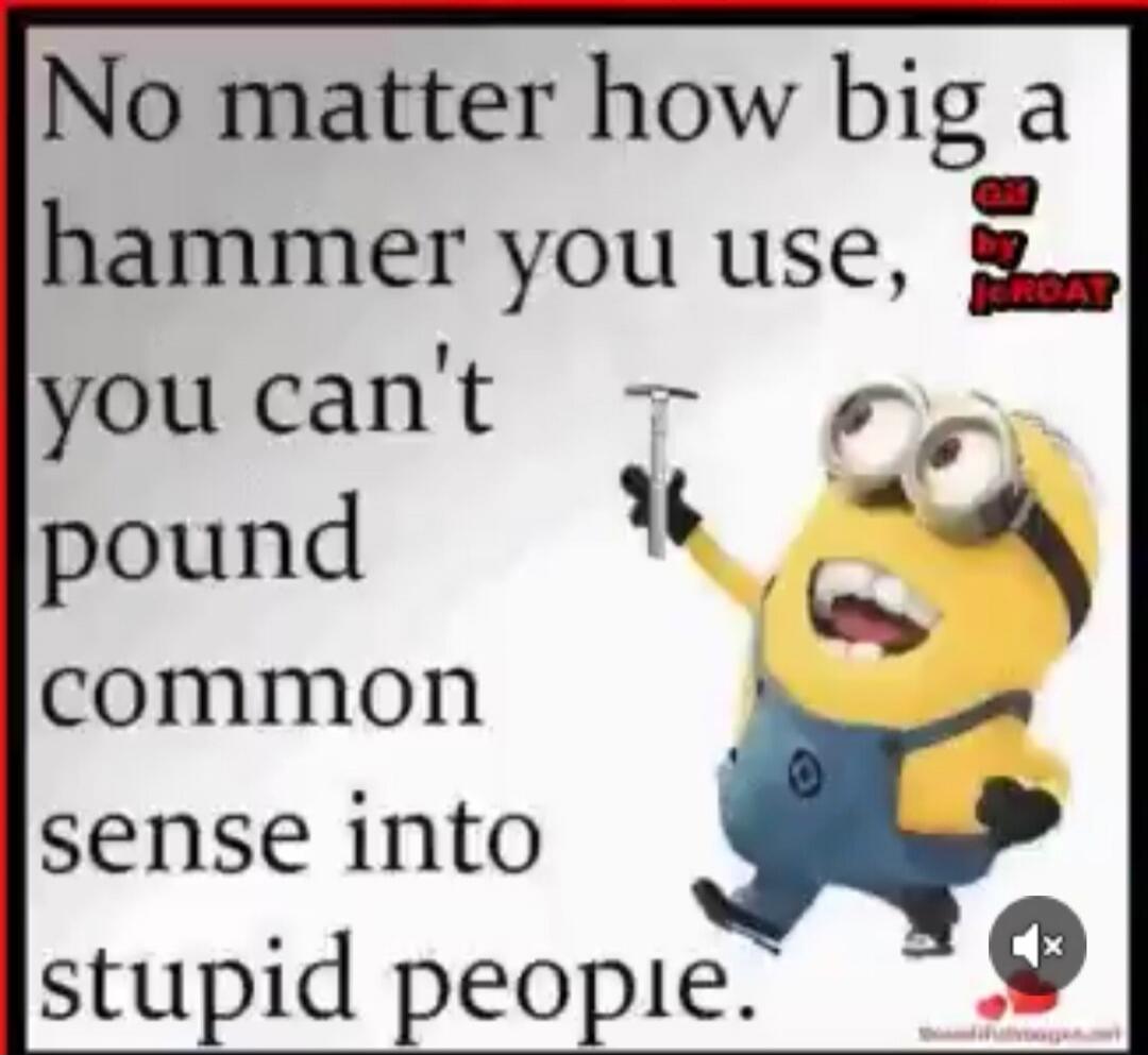 No matter how big a hammer you use, you can't pound common sense into stupid people.