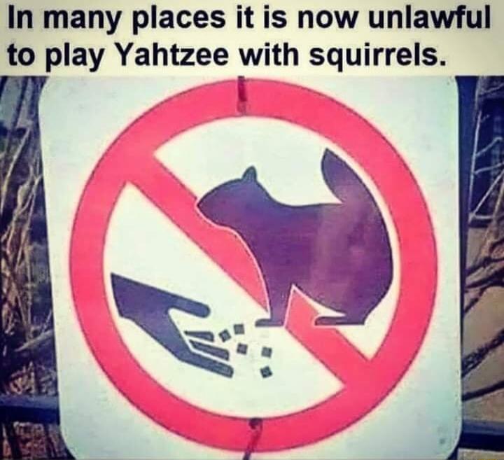 In many places it is now unlawful to play Yahtzee with squirrels