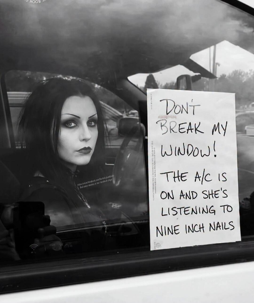 Don't BREAK MY WINDOW! THE A/C IS ON AND SHE'S LISTENING TO NINE INCH NAILS https://www.facebook.com/DarkLuluAndCo Find more memes on our facebook page
