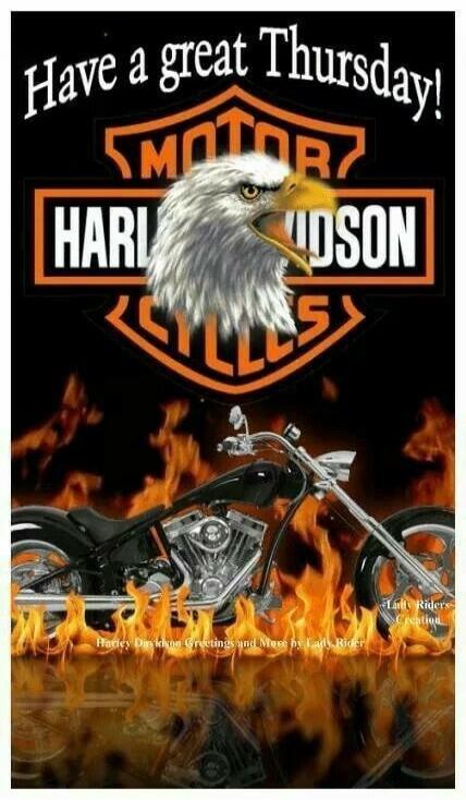 Have a great Thursday! MOTOR HARLEY-DAVIDSON CYCLES Harley Davidson Greetings and More by Lady Rider