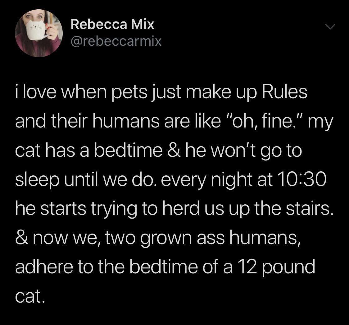 Rebecca Mix IgolToler 140010 I love when pets just make up Rules and their humans are like oh fine my cat has a bedtime he wont go to sleep until we do every night at 1030 he starts trying to herd us up the stairs now we two grown ass humans adhere to the bedtime of a 12 pound