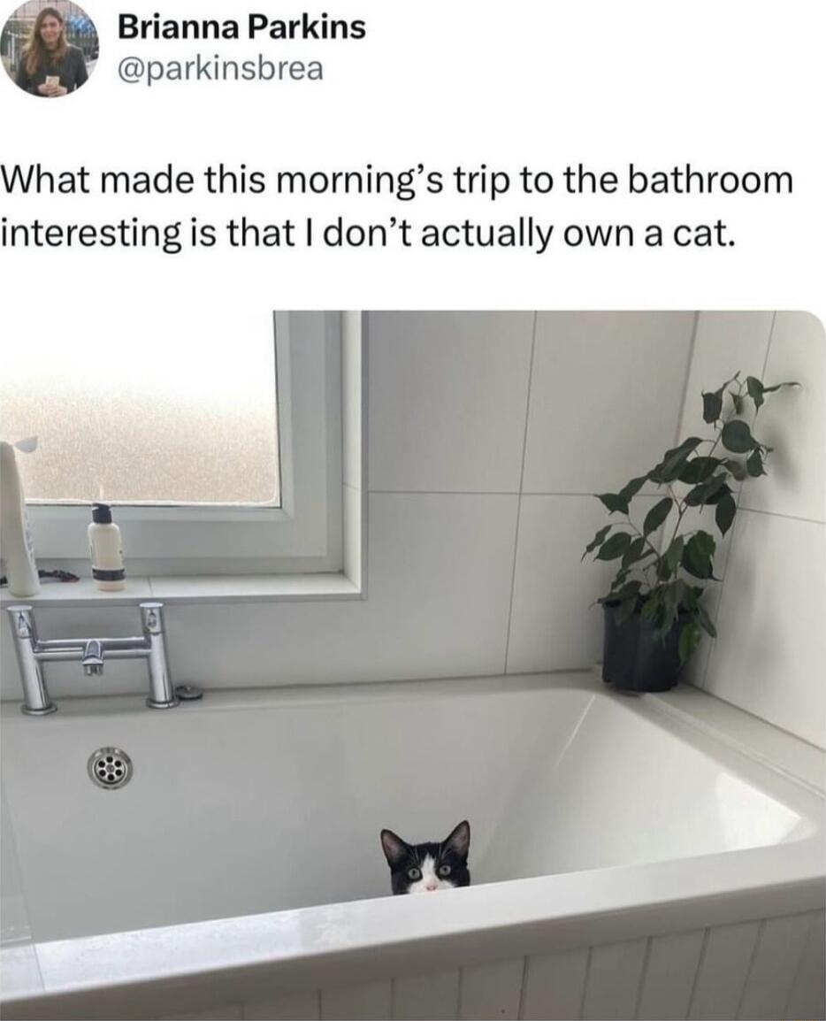 Brianna Parkins parkinsbrea hat made this mornings trip to the bathroom interesting is that dont actually own a cat