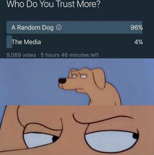 Who Do You Trust More? A Random Dog 96% The Media 4% 9,069 votes - 5 hours 46 minutes left