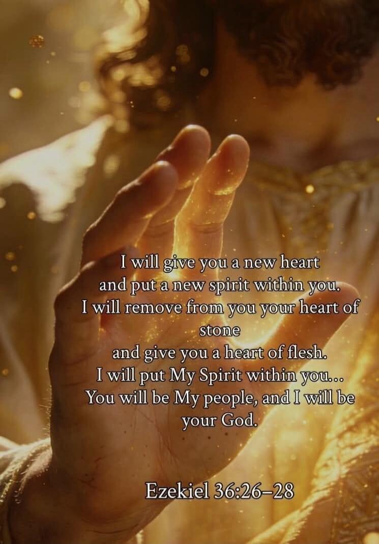 I will give you a new heart and put a new spirit within you. I will remove from you your heart of stone and give you a heart of flesh. I will put My Spirit within you... You will be My people, and I will be your God. Ezekiel 36:26–28