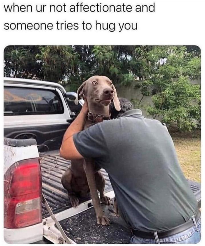 when ur not affectionate and someone tries to hug you