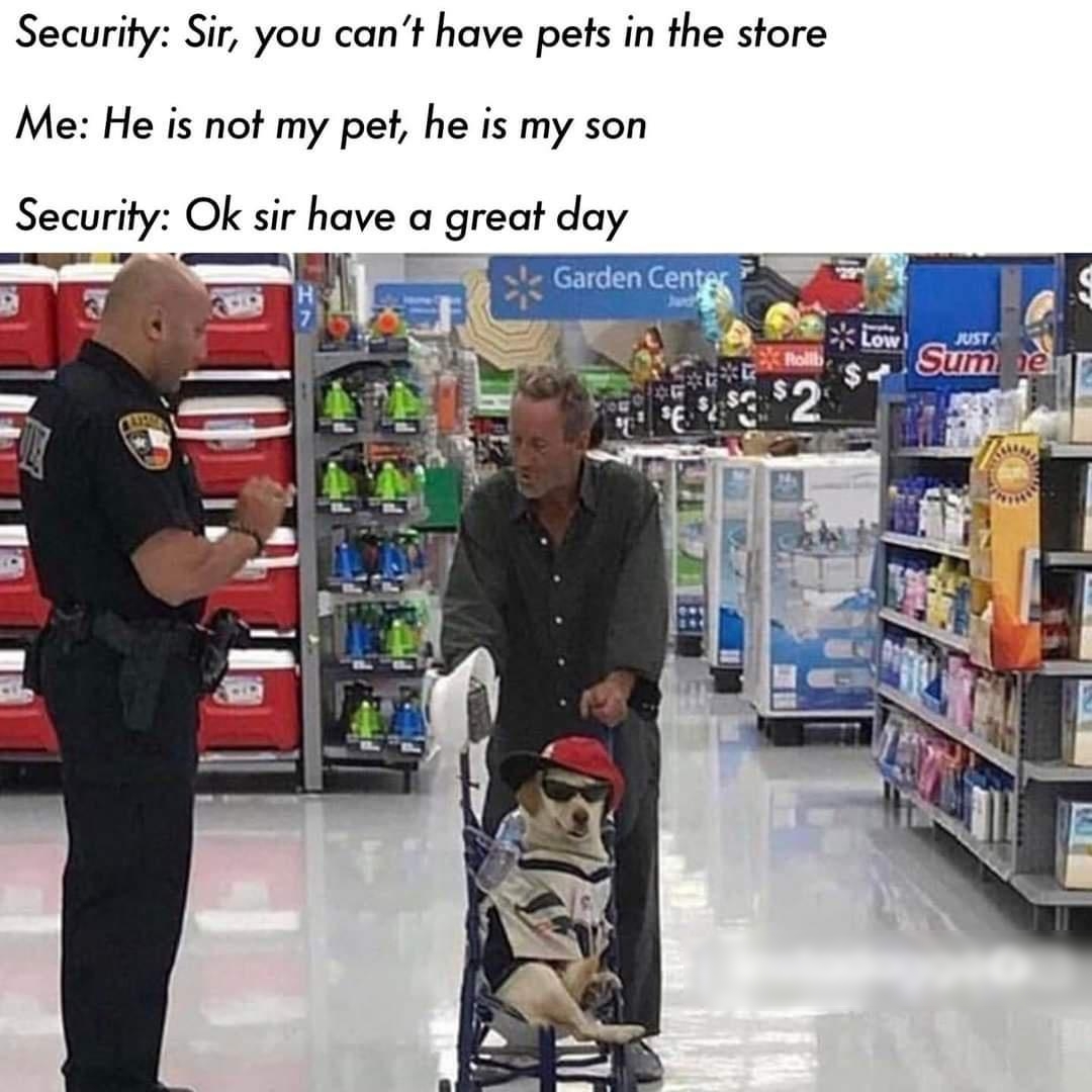 Security Sir you cant have pets in the store Me He is not my pet he is my son Secunfy Ok sir have a great day